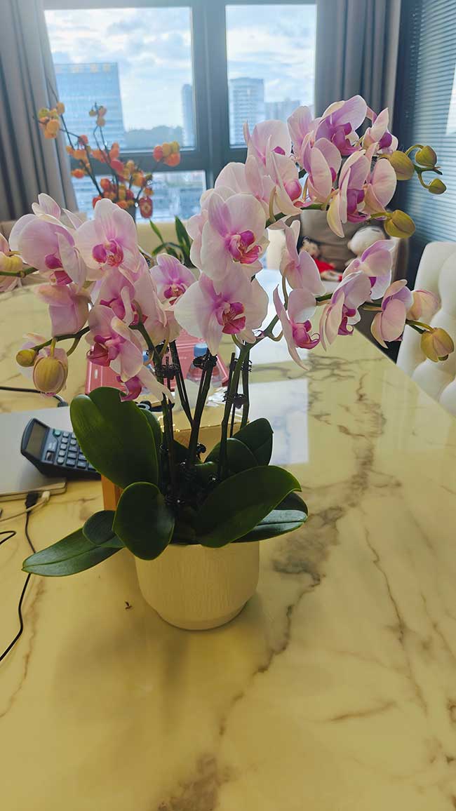 芭比果果国庆放假通知