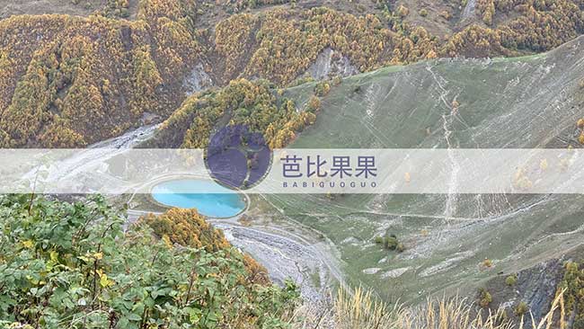 格鲁吉亚试管逛景点