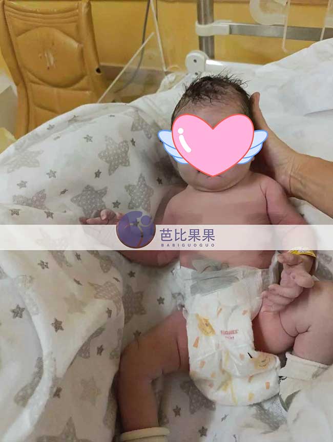 谢先生夫妇在乌克兰的试管妈妈顺利生下小公主