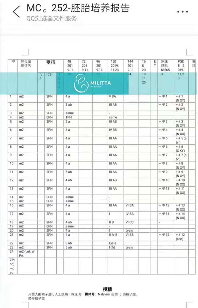 C姐姐的乌克兰试管女孩胚胎的筛查报告24颗m2卵子