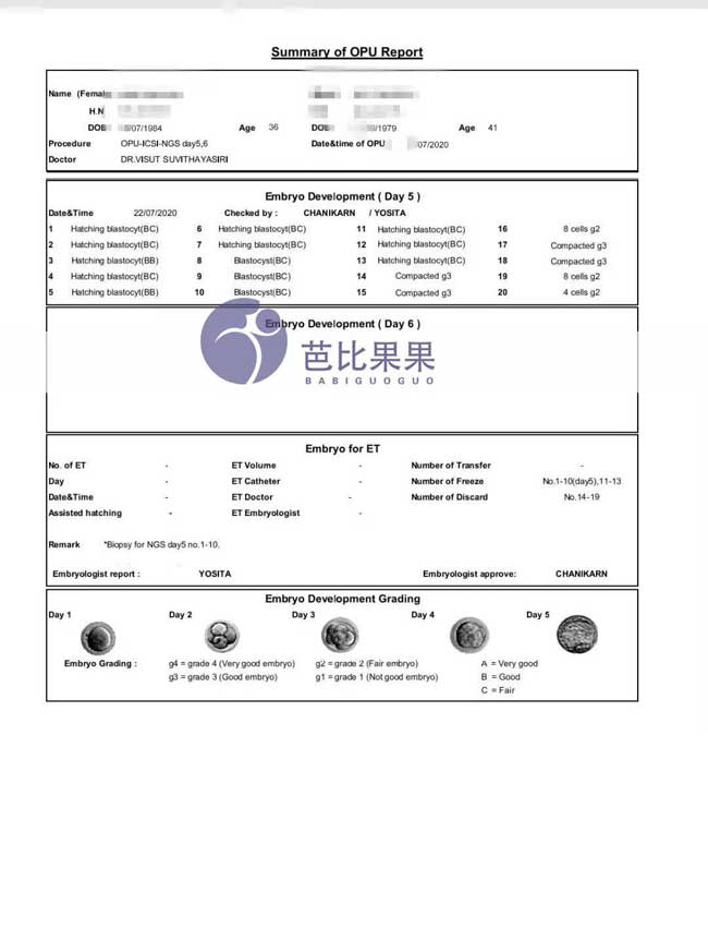 Y先生选择泰国试管包成功取得13个优质囊胚