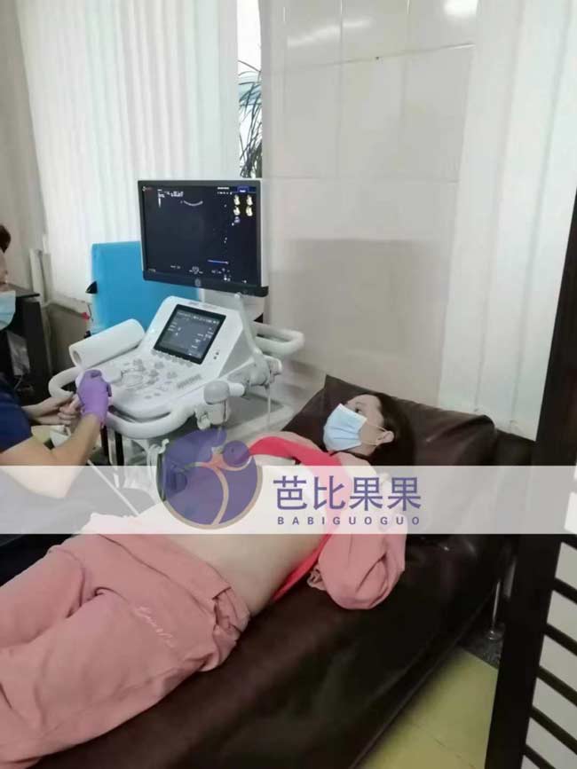 w女士家的乌克兰照B超腹内俩个胎宝宝发育情况良好