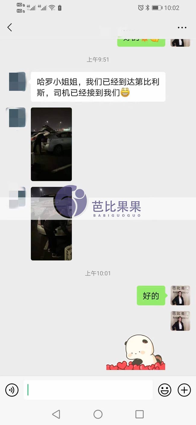 格鲁吉亚自卵试管