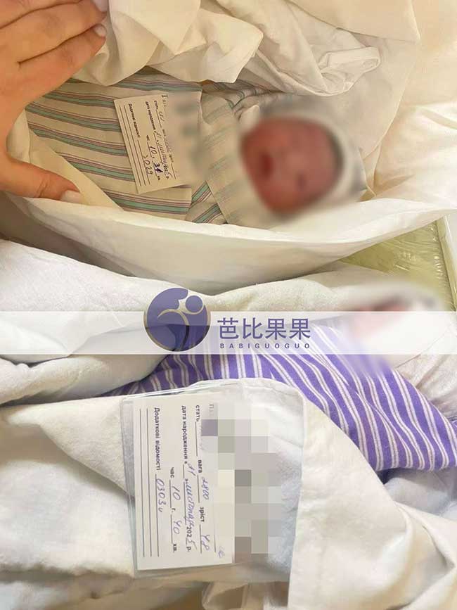 杨先生在乌克兰生的龙凤胎试管宝宝于基辅时间