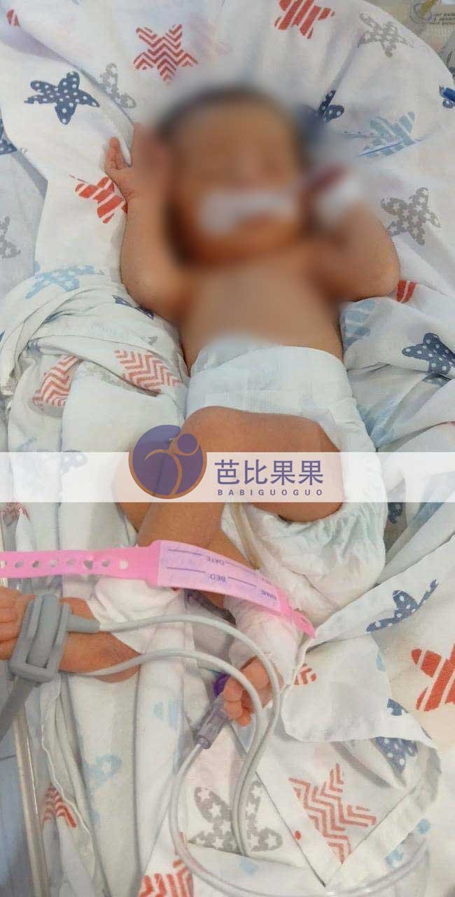 关先生到格鲁吉亚试管生下的龙凤胎宝像小天使