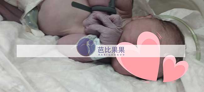 格鲁吉亚海外辅助生育案例分享:苏先生家庭顺利迎接新生命