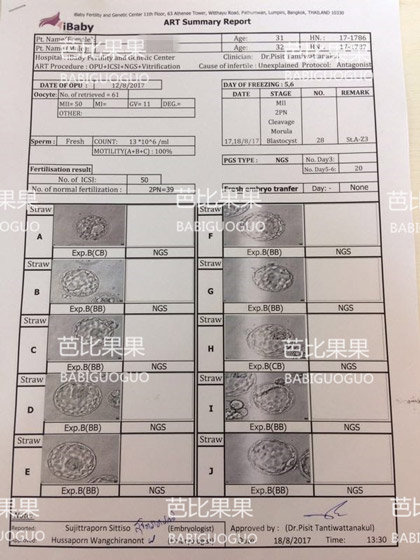 泰国试管婴儿胚胎检验报告