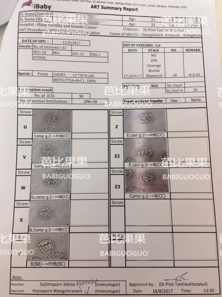 泰国试管婴儿胚胎检验报告