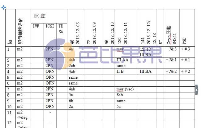 乌克兰试管胚胎报告