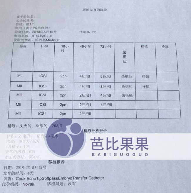 第二次胚胎培育报告