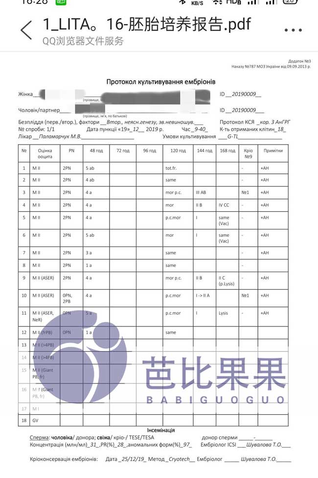 胚胎胚胎报告