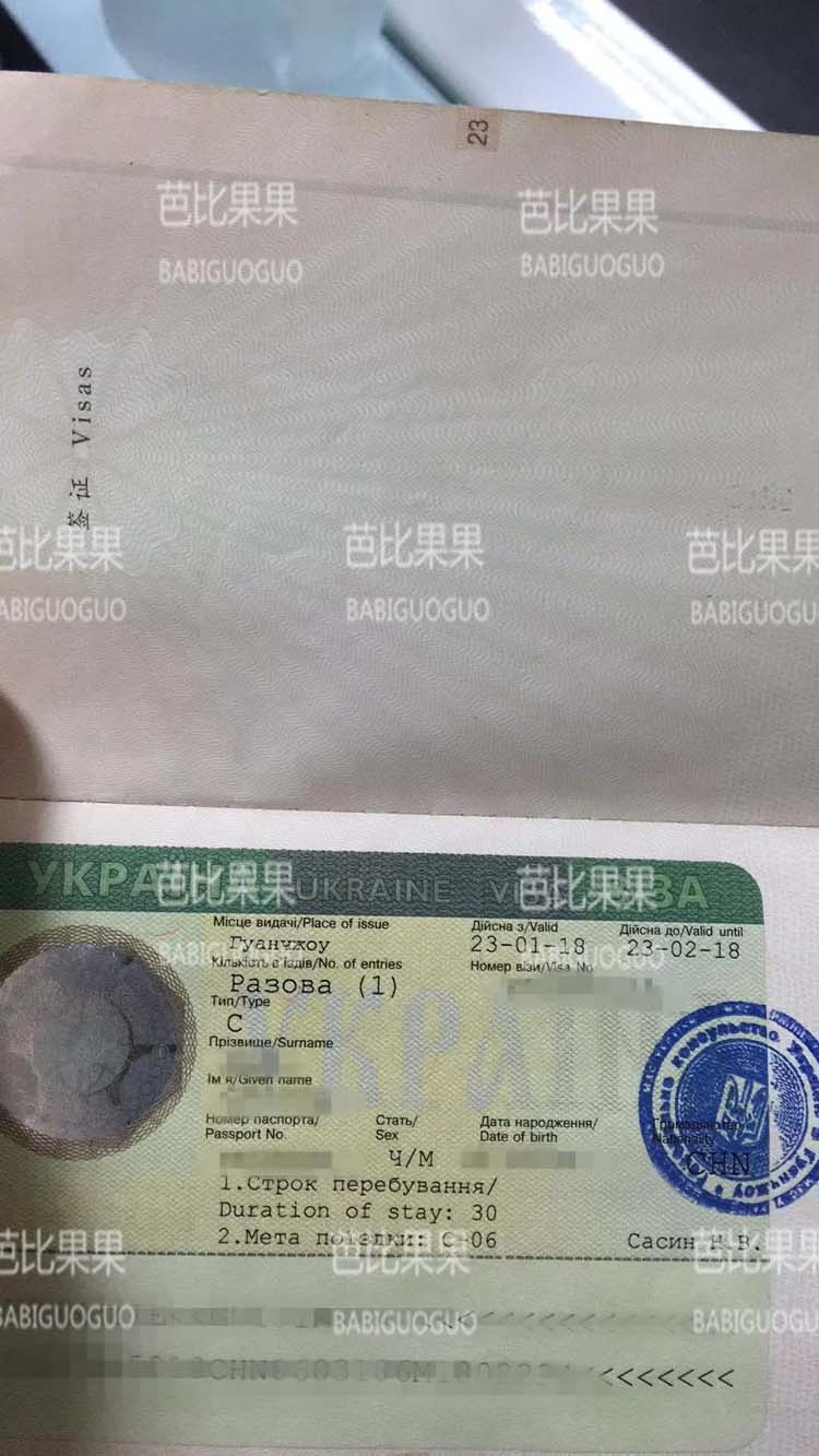 去乌克兰试管的签证