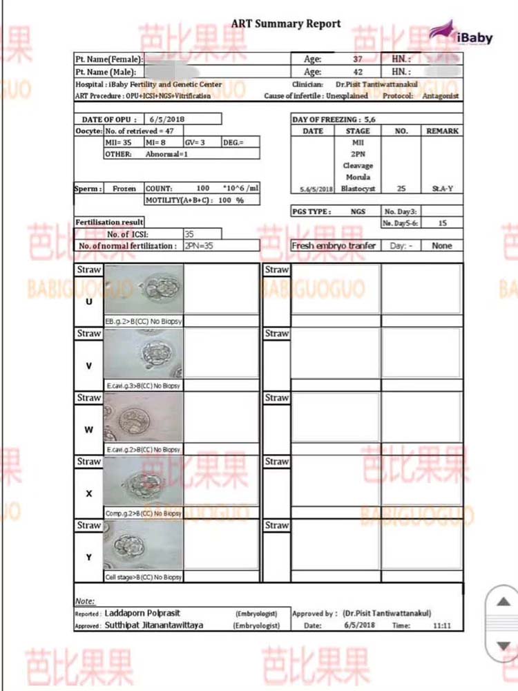 泰国试管婴儿囊胚