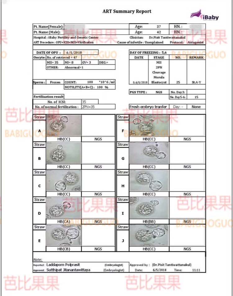 泰国试管婴儿囊胚